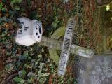 image number DSC_4237